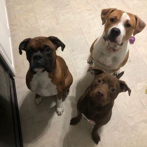 Meet your Posher, Dylan